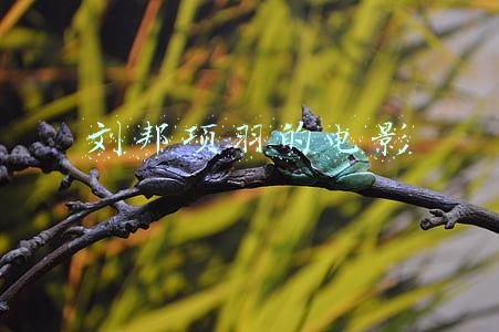 刘邦项羽之争电影(楚汉之争：刘邦撕毁停战协议，四路出击围攻项羽，项羽退至垓下)