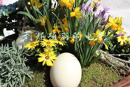 刘邦项羽的电影 刘邦项羽的电影