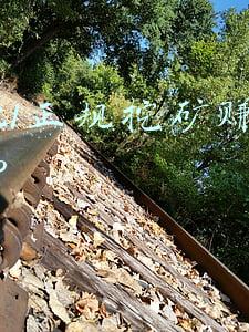 2021正规挖矿赚钱app合法吗(整治虚拟货币“挖矿”，头部券商也行动了！红头文件对挖矿明令禁止，挖矿正面临全球强监管)