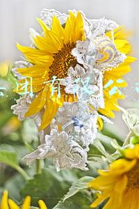 纪元集团董事长:郑矾(1000多名温商同胞齐聚广州，为了干这件大事！)