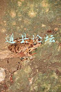 道县论坛