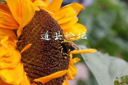 道县论坛