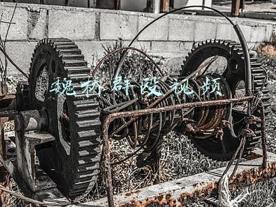 魏桥群殴视频