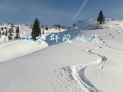 魏桥群殴视频