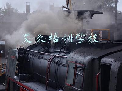 艾灸培训学校起什么名字(惠州卫职院创建“百草校园”，探索中医药文化进校园新模式)