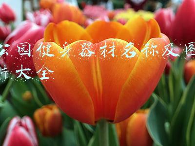 公园健身器材名称及图片大全简笔画(收藏学习，50例超详细的简笔画教程，孩子看了就能学会)