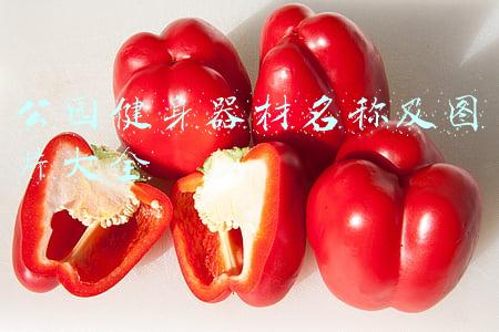 公园的健身器材名称(真好玩！武汉这个公园的健身器材会说话……)