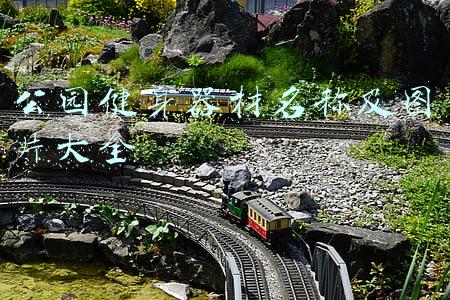重庆公园健身器材(重庆璧山公园组合滑梯定制安装)