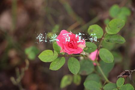 百宝箱(火车站查危员的“百宝箱”)