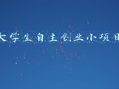 大学生自主创业小项目