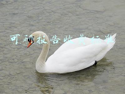 可研报告收费标准计算(工程咨询取费计算公式，绝了！（2021整理版）)