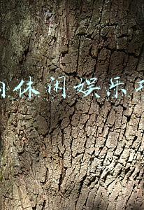 室内休闲娱乐项目有哪些(成都超大室内游乐场 减压刺激 耍到不想回家)