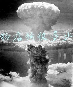 宠物店的狗粮一般多少钱_哪里有卖宠物狗粮的都多少钱