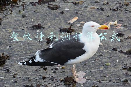餐饮成本利润率计算公式(菜品成本、售价、毛利率核算公式，餐饮人必学)