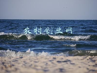 农村创业网