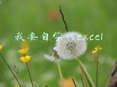 我要自学网excel