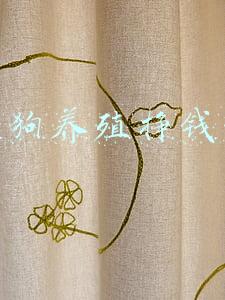 肉狗养殖挣钱吗