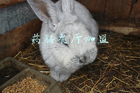 药膳餐厅加盟