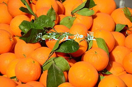 风波庄加盟大概要多少钱(开火锅店的，不只海底捞和呷哺有烦恼，还有一众明星)