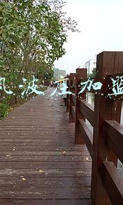 风波庄加盟