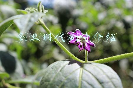 创业时代剧情介绍