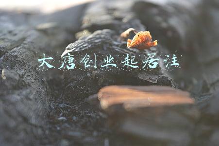 大唐创业起居注白话文(“起居注”是用来干什么的，为何连皇帝都无权拿来看)
