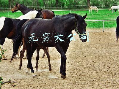 无穷大公司
