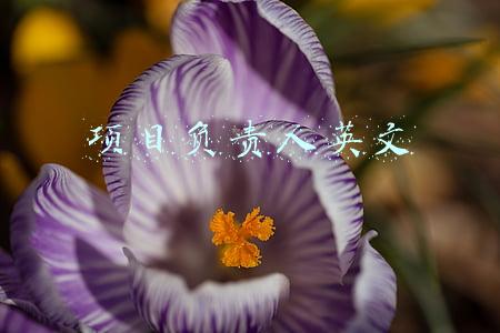 项目负责人英文