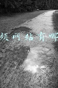 弹幕视频网站有哪些(B站、豆瓣、A站崩了，段子手们纷纷出动……)