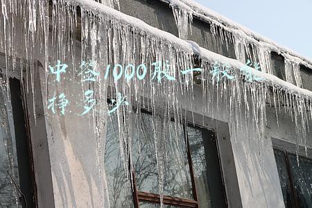 三元生物中签挣多少钱(山东三元生物科技股份有限公司 首次公开发行股票并在创业板上市投资风险特别公告)