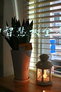 2021智慧树全部答案大学生心理健康(大学生心理健康教育超星尔雅答案)