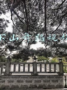 下山舞蹈视频抖音(跳《精舞门》被罗志祥评论，抖音一天播放4470万 | 今日爆款)