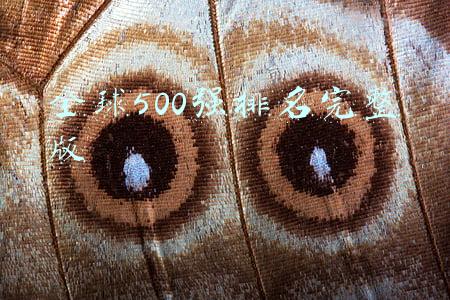 全球500强排名完整版