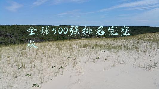全球500强排名完整版2019中国(国有四大行蝉联前四)