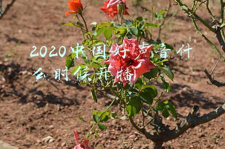 2020年中国好声音什么时候开播(《朋友请听好》第二季定档并发布嘉宾海报，1月25日开播)