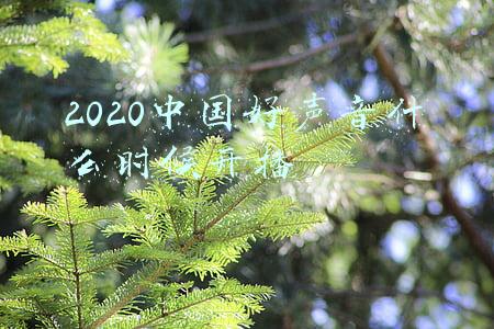 2020中国好声音播出时间安排(“好声音”五强争夺战收视夺冠，本周迎来巅峰之夜)