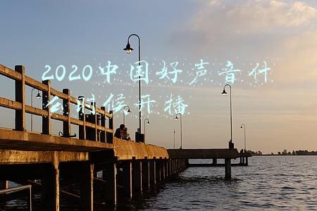 2020中国好声音什么时候开播