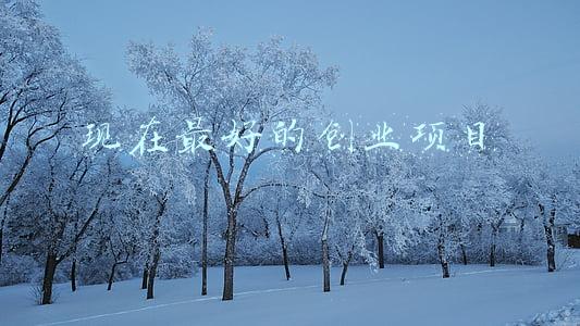 现在最好的创业项目