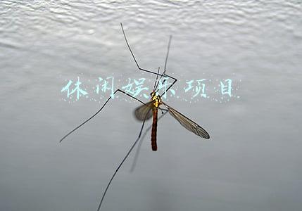 休闲娱乐项目计划书(某地亲子文化旅游度假区商业计划书)