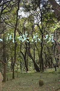 娱乐加盟有哪些项目(音乐酒馆加盟的十大品牌，这十个音乐酒馆人气爆棚)