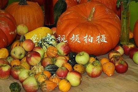 创意视频拍摄