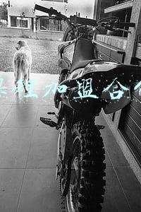 课程加盟费用及方式(童艺梦艺术教育品牌加盟项目，有几种加盟方式？)