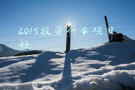2015投资什么项目好