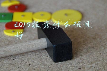 2014投资什么比较好(机构强推买入 六股成摇钱树)