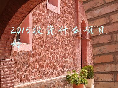 2015投资什么项目好