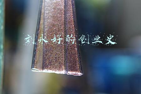 刘永好的创业史
