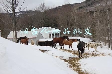 烟台化妆品批发市场(​烟台市市场监管局高新区分局开展儿童化妆品质量安全专项检查)