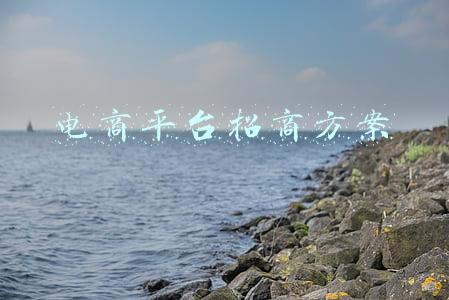 电商平台招商方案