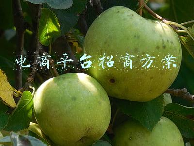 电商平台招商方案