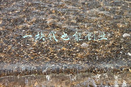 一块钱也能创业拼购团(拼多多的“花花世界”：“农地云拼”助花农增收，让购花更实惠)